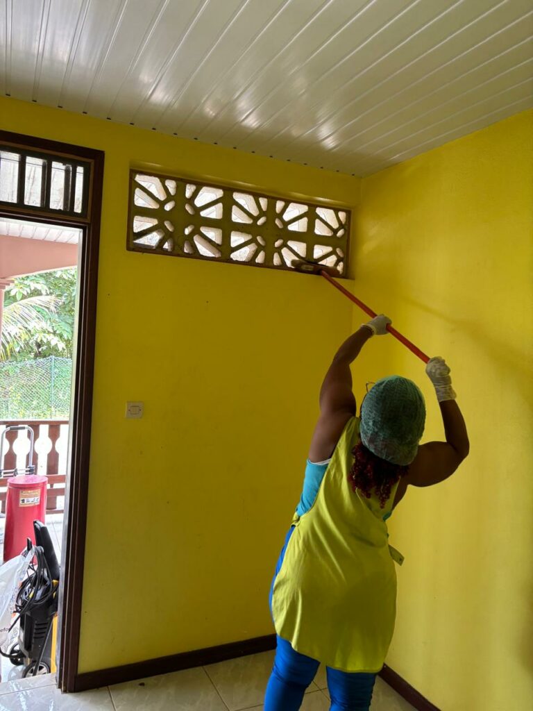 Prop'Hisse - Service de nettoyage en Guyane